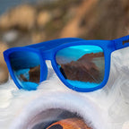 Falkor's Fever Dream